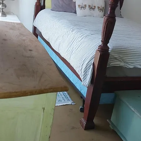 Ocean Front Vortex Female Hostel Private Rooms Free Bikes